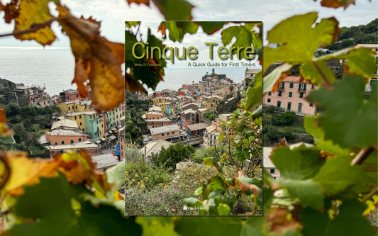 Cinque Terre Guide English Edition